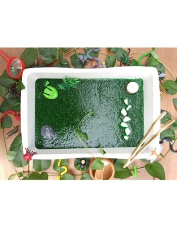 Sürüngen Ve Böcek (bataklık) Temalı Duyusal Oyun Seti