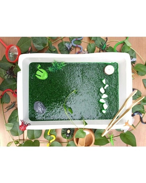 Sürüngen Ve Böcek (bataklık) Temalı Duyusal Oyun Seti