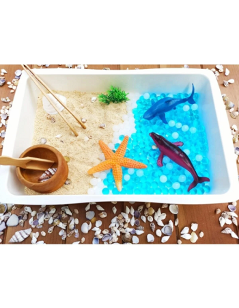 Deniz Canlıları Temalı Duyusal Oyun Seti
