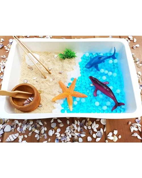 Deniz Canlıları Temalı Duyusal Oyun Seti
