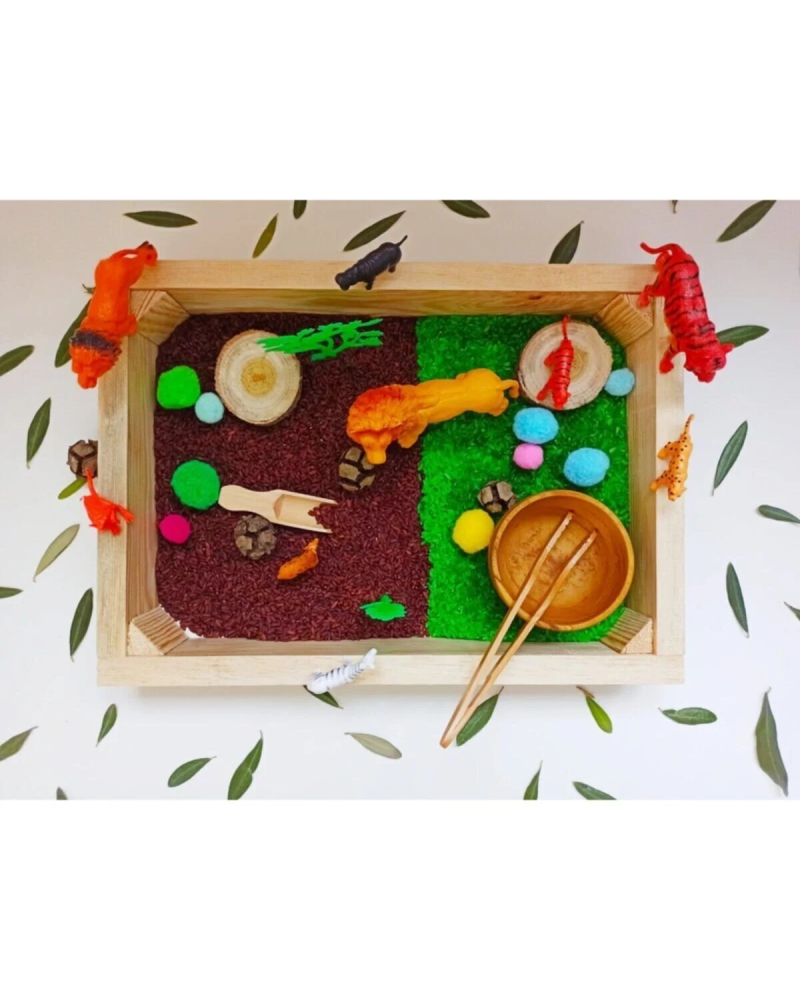 Orman Hayvanları Temalı Duyusal Oyun Seti